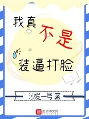 《我真不是装逼打脸》小说封面