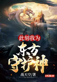 《此刻我为东方守护神》小说封面