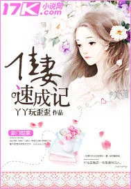 《佳妻速成记》小说封面