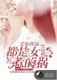 《都是女总裁惹的祸》小说封面
