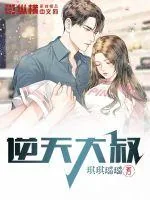 《逆天大叔》小说封面