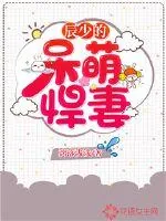 《辰少的呆萌悍妻》小说封面