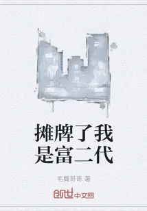 《摊牌了我是富二代》小说封面