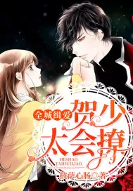 《全城缉爱贺少太会撩》小说封面