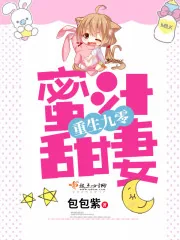 《重生九零蜜汁甜妻》小说封面