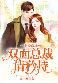 《不妻而遇:双面总裁请矜持》小说封面