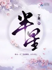 《半星》小说封面