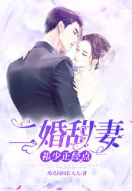 《二婚甜妻：祁少，正经点！》小说封面
