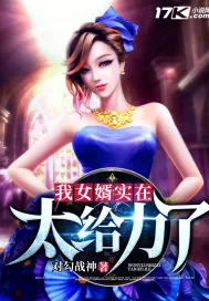 《我女婿实在太给力了》小说封面