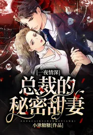 《一夜情深：总裁的秘密甜妻》小说封面