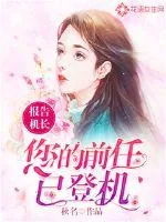 《报告机长：您的前任已登机》小说封面