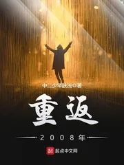 《重返2008年》小说封面