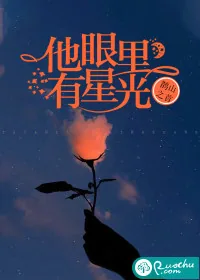《他眼里有星光》小说封面