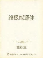 《终极能源体》小说封面