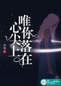 《唯你落在心尖上》小说封面