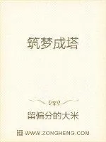 《筑梦成塔》小说封面