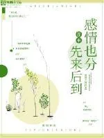 《原来感情也分先来后到》小说封面