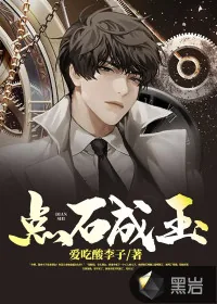 《点石成玉》小说封面