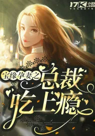 《宝缘孕妻之总裁吃上瘾》小说封面