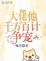 《大佬他千方百计争宠》小说封面