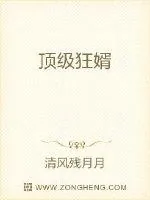 《顶级狂婿》小说封面