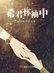《希君怀袖中》小说封面