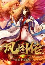 《凤图传》小说封面