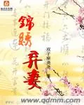 《锦绣弃妻》小说封面
