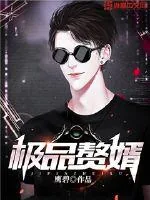 《极品赘婿》小说封面