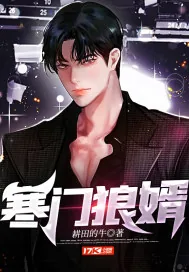 《寒门狼婿》小说封面