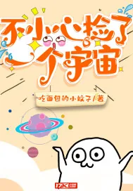 《不小心捡了一个宇宙》小说封面