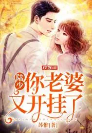 《陆少你老婆又开挂了》小说封面