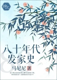 《八十年代发家史》小说封面