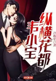 《韦小宝纵横花都》小说封面