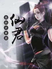 《我的老婆是仙君》小说封面