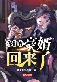 《你们的豪婿回来了》小说封面