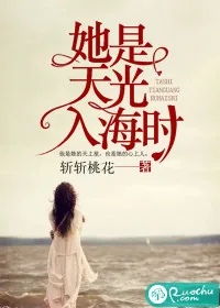 《她是天光入海时》小说封面