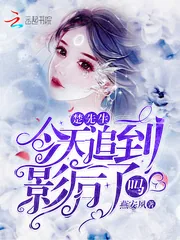 《楚先生今天追到影后了吗》小说封面