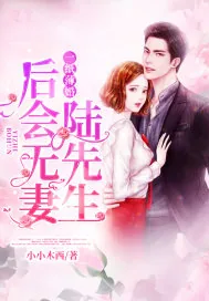 《一纸薄婚：陆先生，后会无妻》小说封面