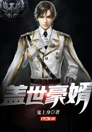 《盖世豪婿》小说封面