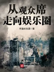 《从观众席走向娱乐圈》小说封面