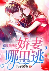 《重生暖婚：娇妻哪里逃》小说封面