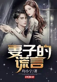 《妻子的谎言》小说封面