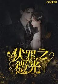 《伏罪之微光》小说封面