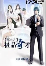 《都市之极品奇才》小说封面