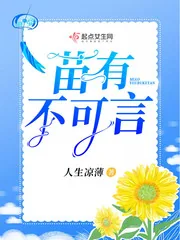 《苗有不可言》小说封面
