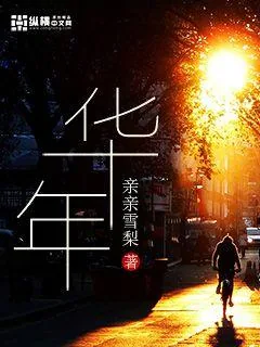 《华年》小说封面