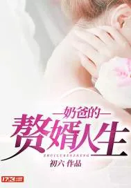 《奶爸的赘婿人生》小说封面