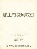 《那里有微风吹过》小说封面