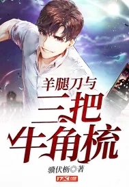 《羊腿刀与三把牛角梳》小说封面